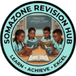 somazone revision hub