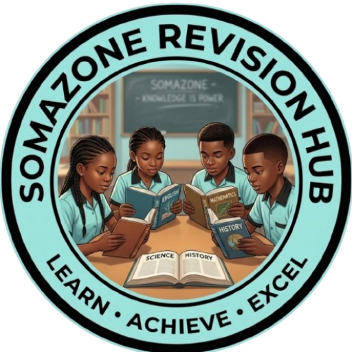 somazone revision hub